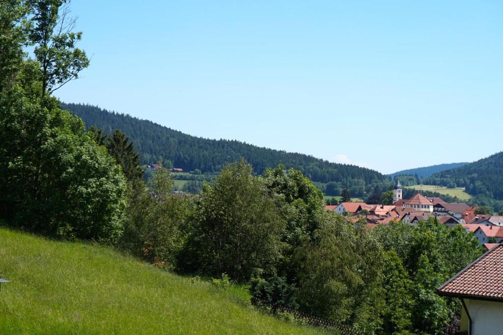 Pension Zur Klause Bodenmais Kültér fotó